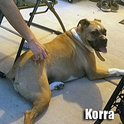 Thumbnail photo of Korra #3