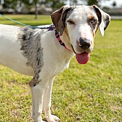 Photo of Esther