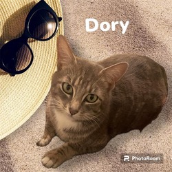 Photo of DORY