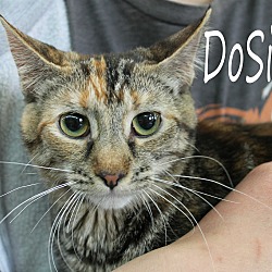 Photo of Do si do