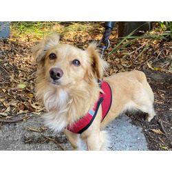 Photo of CRUSOE
