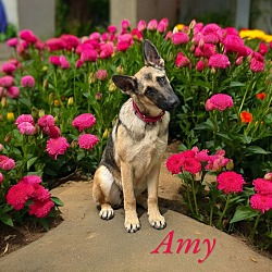 Thumbnail photo of Amy #3