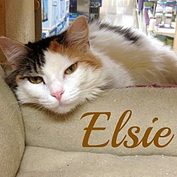 Thumbnail photo of Elsie #1