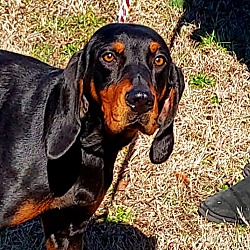 Photo of Bella