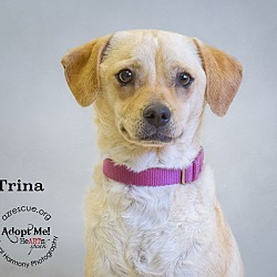 Thumbnail photo of Trina #1