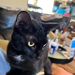 Photo of Persephone