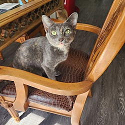 Photo of Mizo