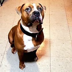 Photo of Tempo