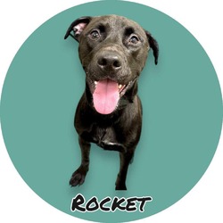 Photo of Rocket