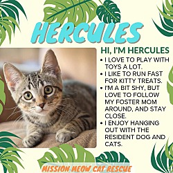 Photo of Hercules