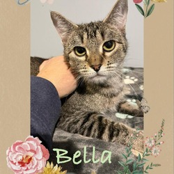 Thumbnail photo of Bella #1