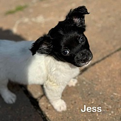 Photo of Jess