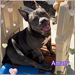 Photo of Amary