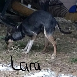 Thumbnail photo of Lara (DC) #2