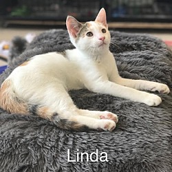 Thumbnail photo of Linda #1
