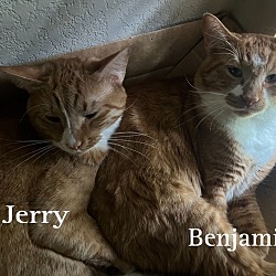 Photo of Ben & Jerry