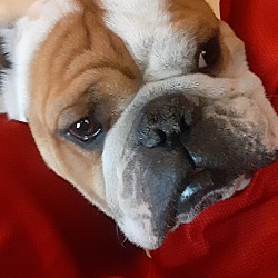 Photo of Tank