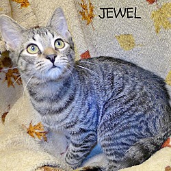 Thumbnail photo of Jewel #1