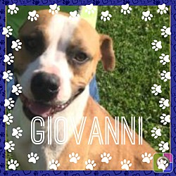 Photo of Giovanni