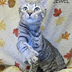Thumbnail photo of Jewel #2