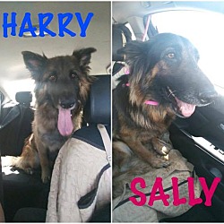 Photo of Harry & Sally