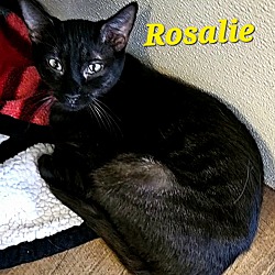 Thumbnail photo of Rosalie #4