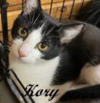 Photo of Kory