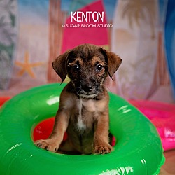 Photo of Kenton