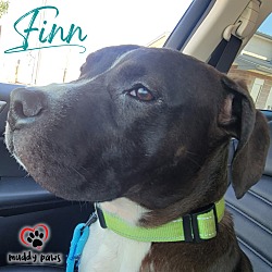 Thumbnail photo of Finn #2