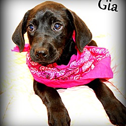 Thumbnail photo of Gia ~ meet me! #1