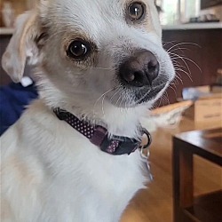 Photo of Dale