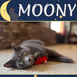 Photo of Moony
