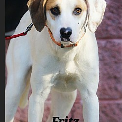 Thumbnail photo of Fritz #1