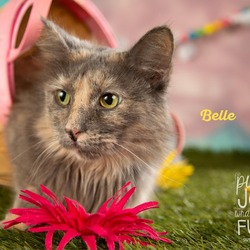 Thumbnail photo of Belle #3