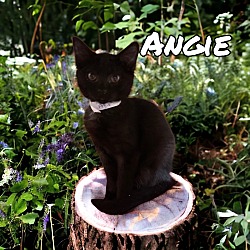 Photo of Angie