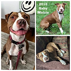 Photo of Maizie