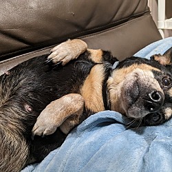 Photo of Bean