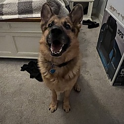 Photo of Mac 