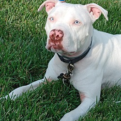 Photo of Patzee