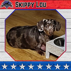 Photo of Skippy Lou
