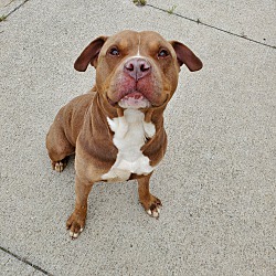 Photo of Sal