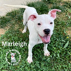 Thumbnail photo of Marleigh #2