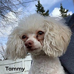 Photo of Tammy
