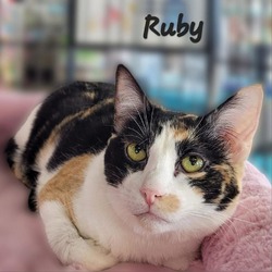 Thumbnail photo of Ruby #4