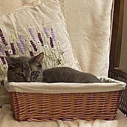 Thumbnail photo of Ricardo #2