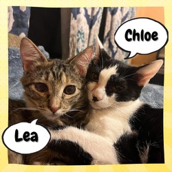 Photo of Lachesis (Lea) & Clotho (Chloe)