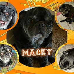 Photo of Macky