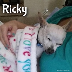 Thumbnail photo of Ricky #2