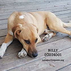 Thumbnail photo of Billy #4