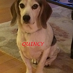 Thumbnail photo of QUINCY & CASEY- Courtesy #2